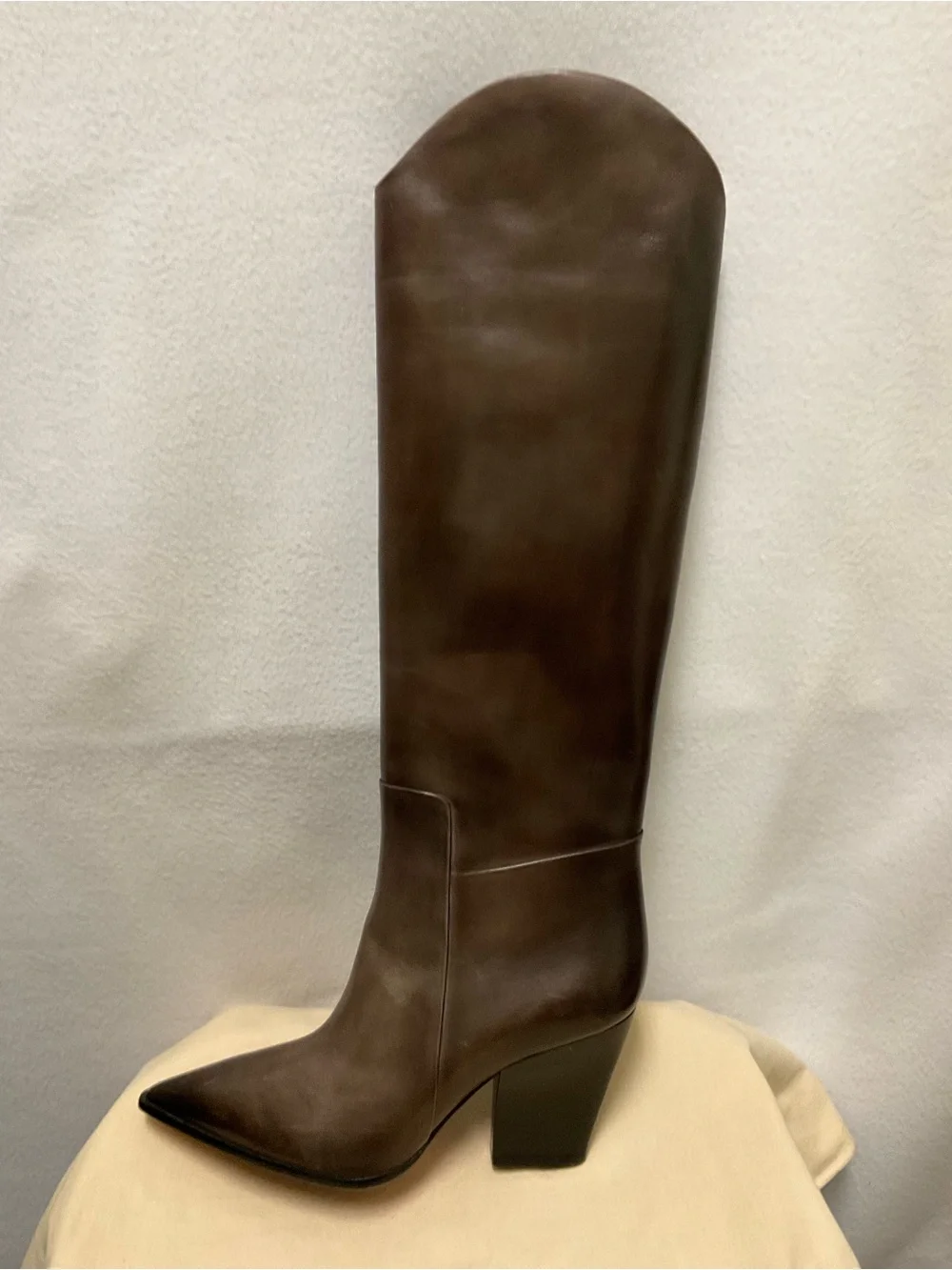 Santoni Tall Pointed-Toe Over-the-Knee Leather Boots in Dark Brown